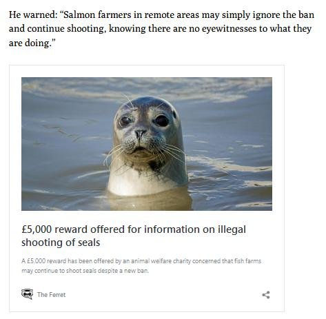 Ferret 25 Feb 2021 #6 Ferret 25 Feb 2021 #6