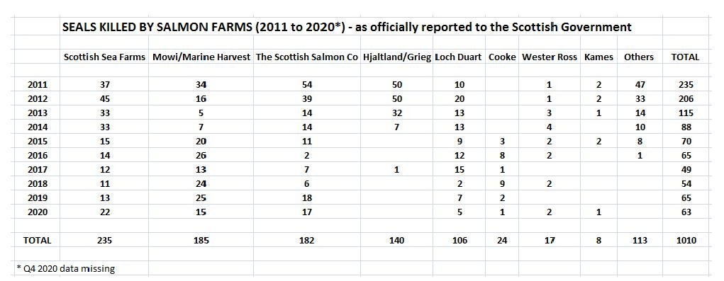SSF blog #1 SSF blog #1