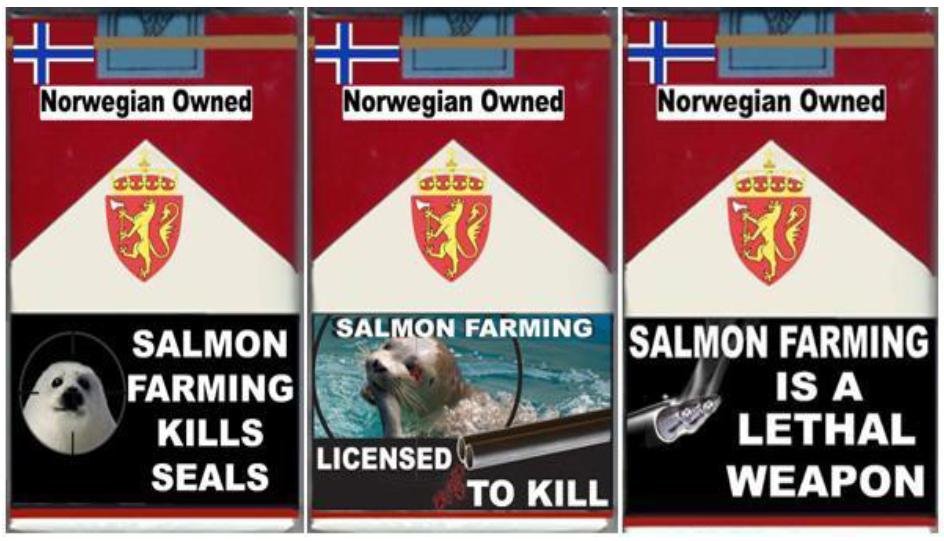 SSF blog #2 SSF blog #2