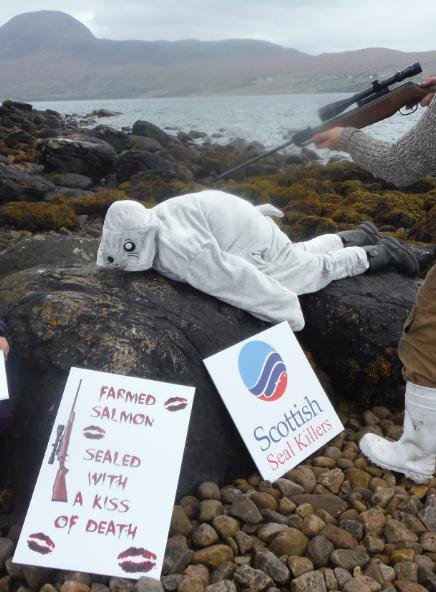 SSF blog #5 SSF blog #5