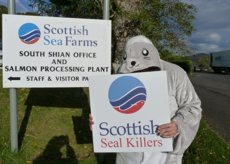 SSF blog #7 SSF blog #7