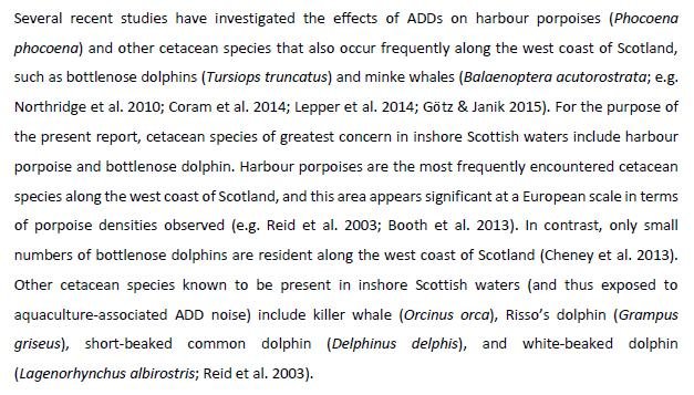 SARF ADD report #19 impacts on cetaceans