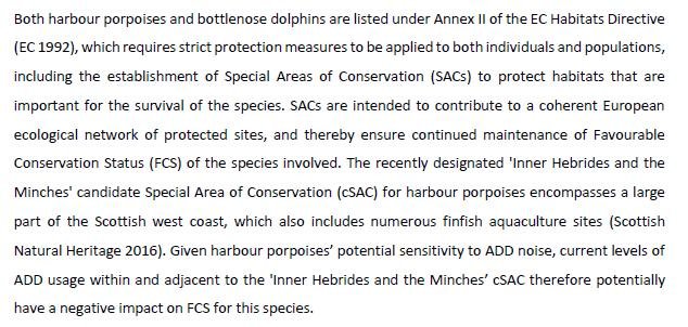 SARF ADD report #20 impacts on cetaceans