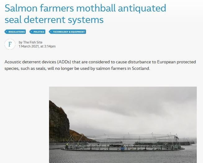 Fish Site 1 March 2021 #1