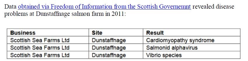 Dunstaffnage blog #15