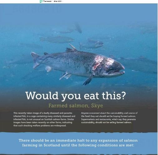 Herald advert S&TC 6 March 2021 Newspaper version #4