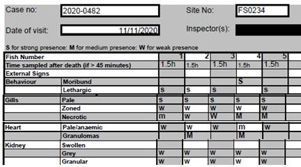 FHI blog March 2021 #25 Torridon