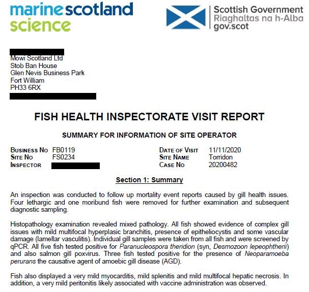 FHI blog March 2021 #27 Torridon