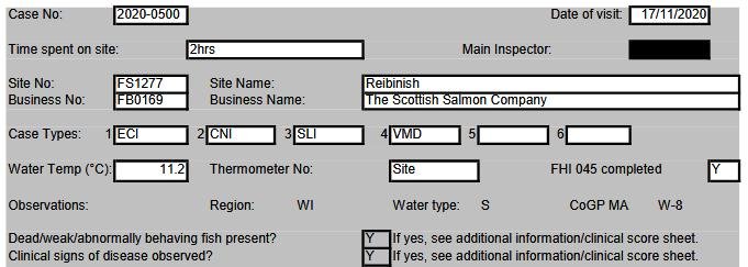 FHI SSC Reibinish #1