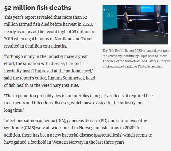 Norway blog March 2021 #3