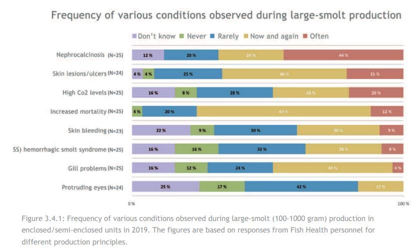 Norway blog #19 2019 report in English Norway blog #19 2019 report in English