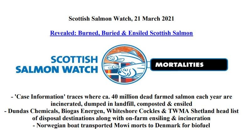 PR Burned Buried & Ensiled March 2021 #1 PR Burned Buried & Ensiled March 2021 #1