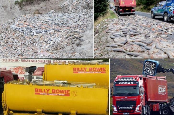 PR Burned Buried & Ensiled March 2021 #2 PR Burned Buried & Ensiled March 2021 #2