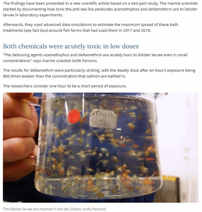 Deltamethrin IMR 2020 #2 Deltamethrin IMR 2020 #2