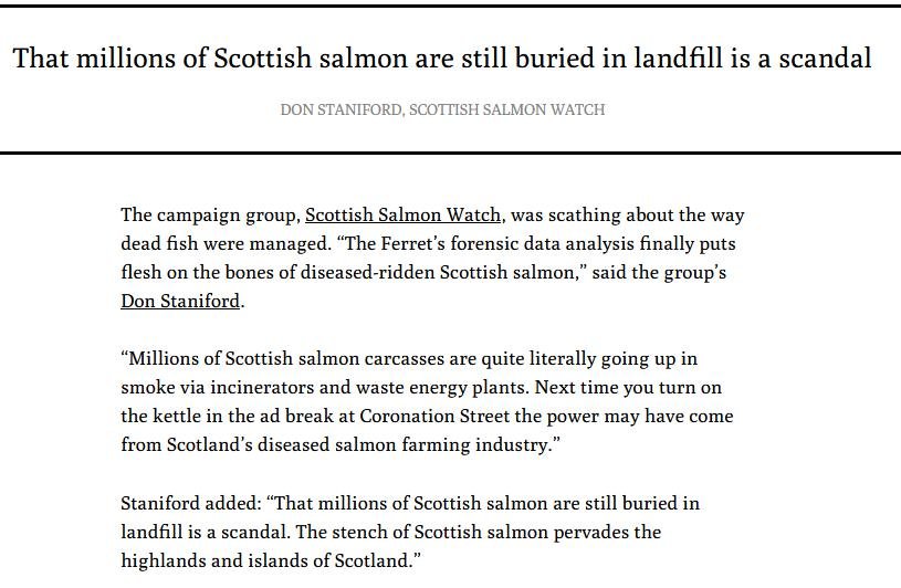 Ferret 21 March 2021 #3 Don quote