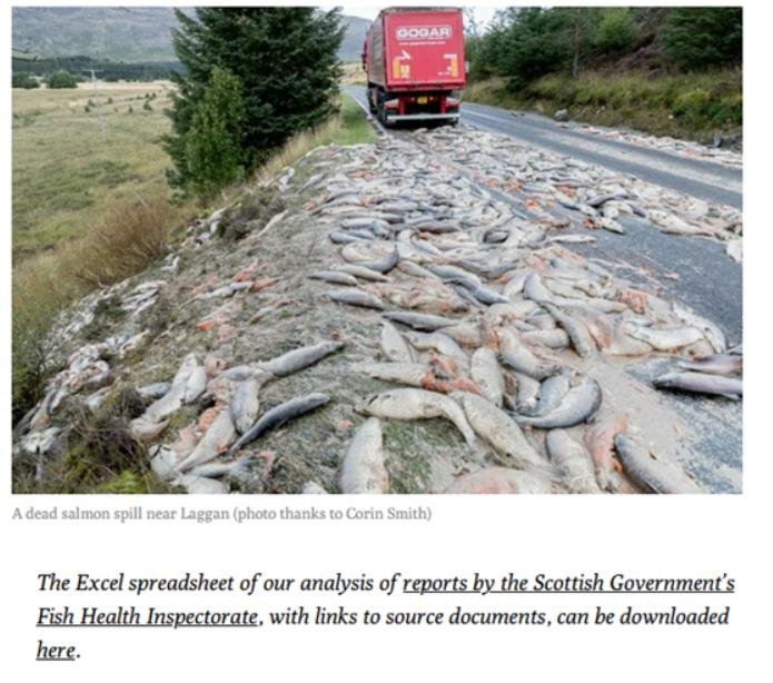 Ferret 21 March 2021 #4 Excel