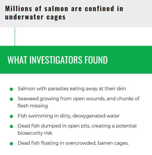 CIWF petition #4 CIWF petition #4