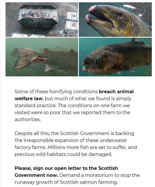 CIWF petition #5 CIWF petition #5