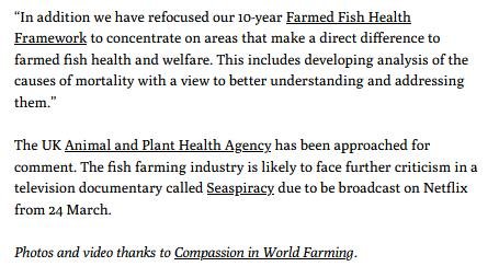 Ferret 23 March 2021 #7