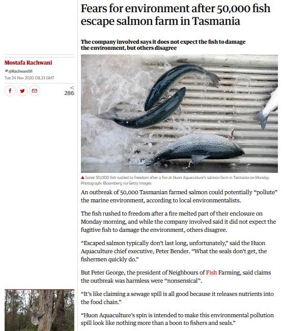 Rick Stein blog #13 Rick Stein blog #13