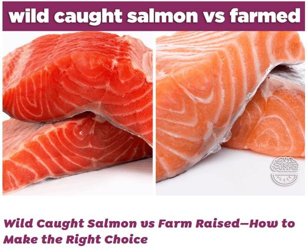 Rick Stein blog #28 Rick Stein blog #28