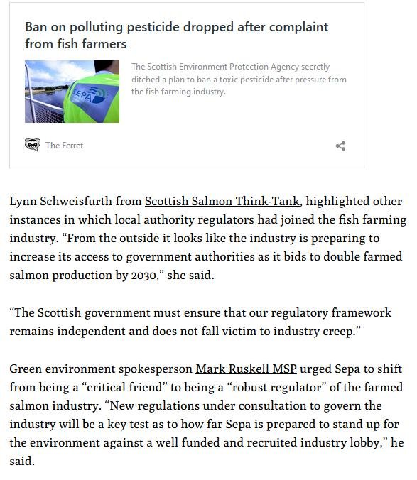 Greenwashing SSF blog March 2021 #8