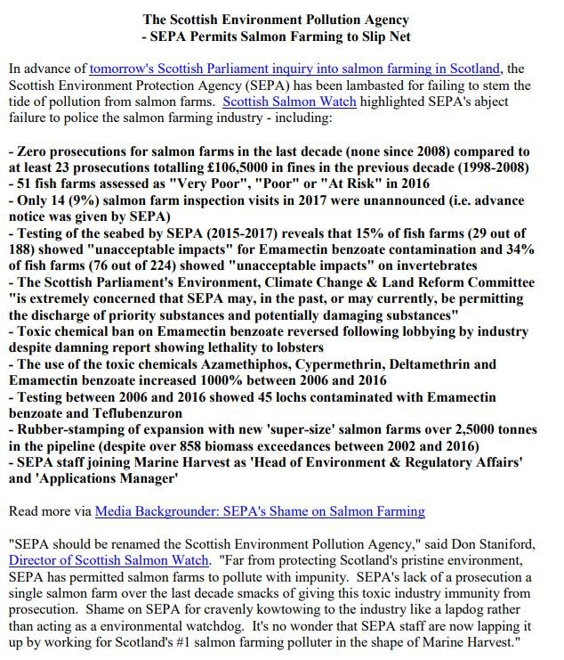 Greenwashing SSF blog March 2021 #9