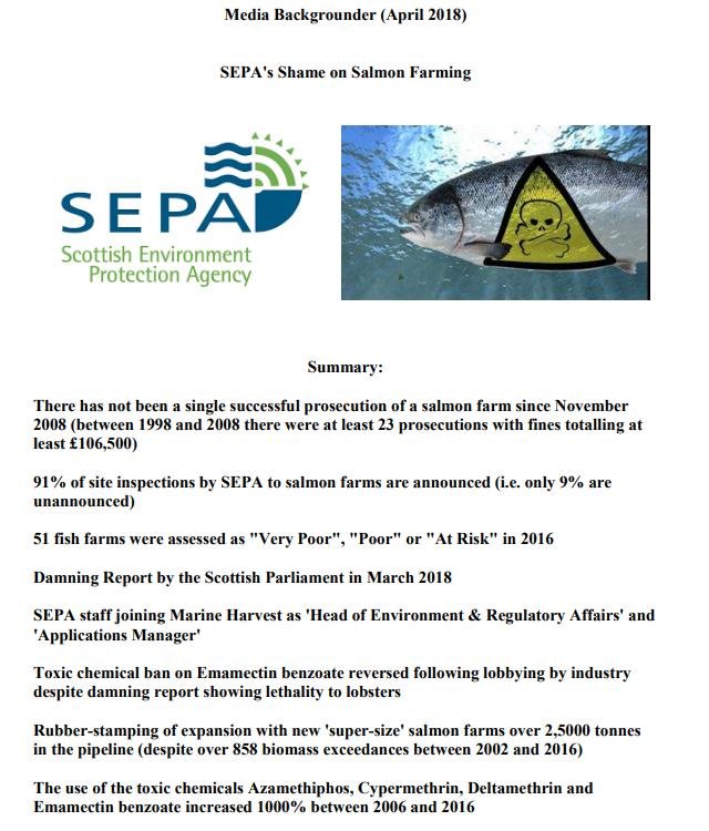 Greenwashing SSF blog March 2021 #10