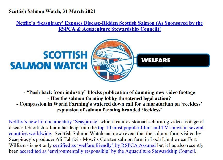 PR Netflix Exposes 31 March 2021 #1 PR Netflix Exposes 31 March 2021 #1