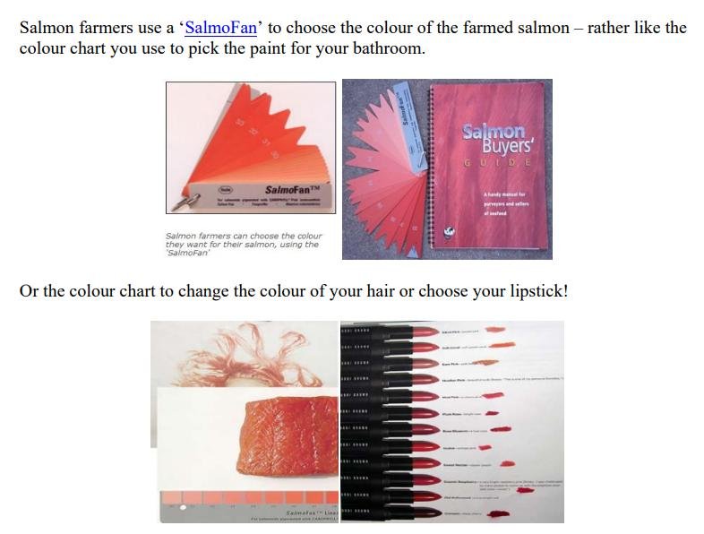 Ugly in Pink report #6