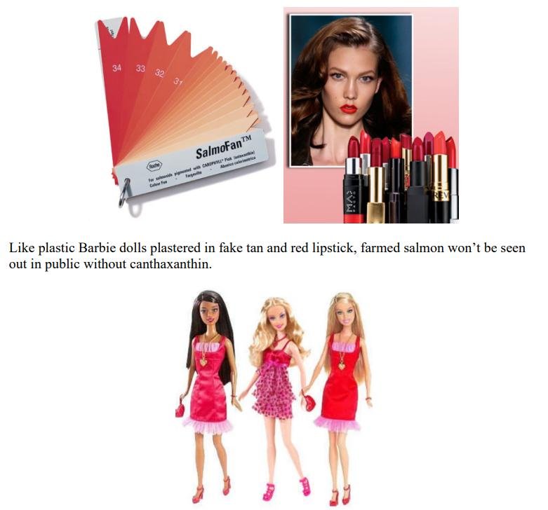 Ugly in Pink report #10