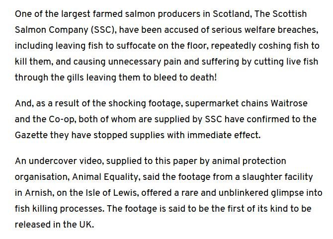 Native Hebridean salmon #4