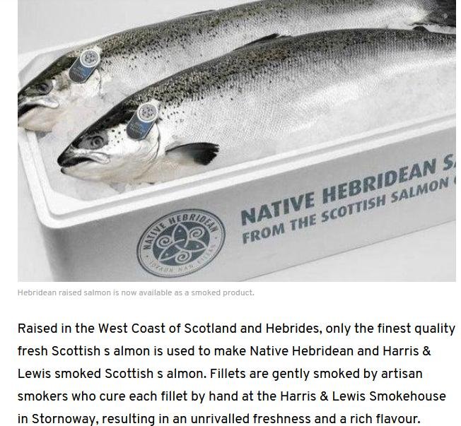 Native Hebridean salmon #9