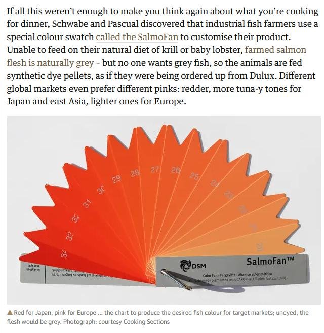 SalmoFan Guardian 4 April 2021