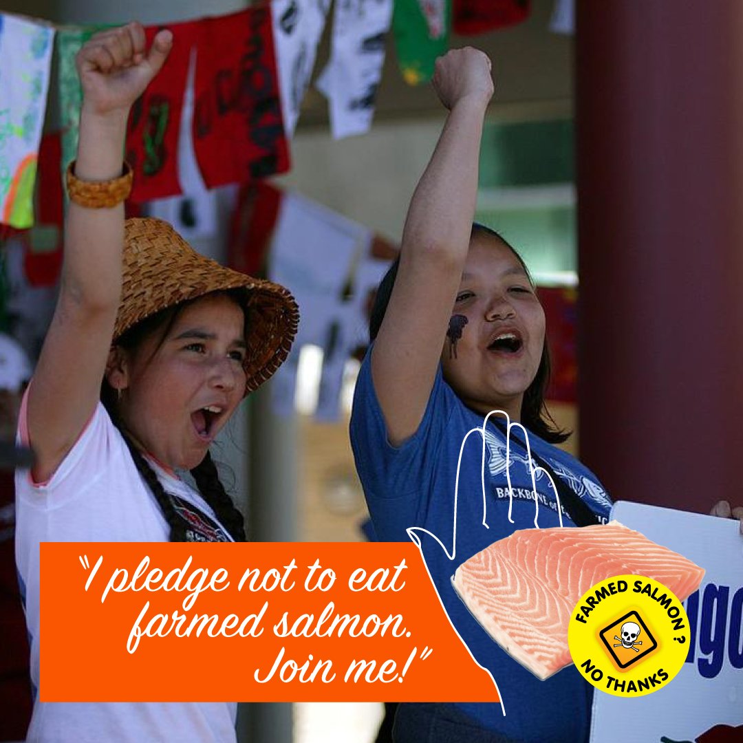 Pledge #17 Molina & Laterra Pledge #17 Molina & Laterra