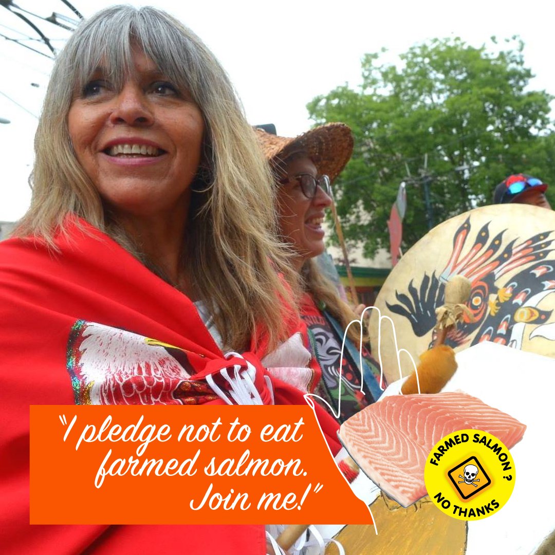 Pledge #29 Dawn Morrison Pledge #29 Dawn Morrison