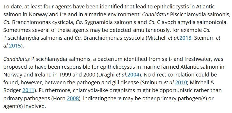 Chlamydia blog April 2021 #13 Chlamydia blog April 2021 #13