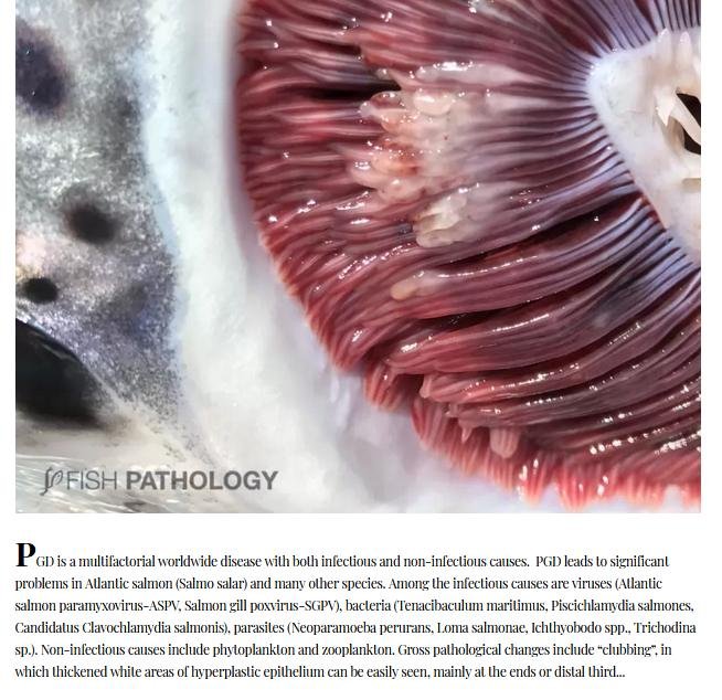 Chlamydia blog April 2021 #32 Chlamydia blog April 2021 #32