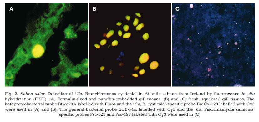 Chlamydia blog April 2021 #33 Chlamydia blog April 2021 #33