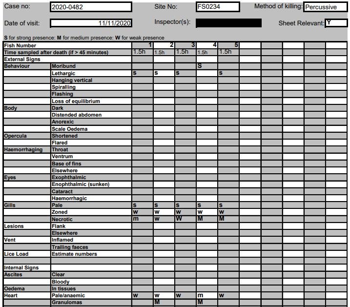 FHI Mowi Torridon Nov 2020 #3 FHI Mowi Torridon Nov 2020 #3