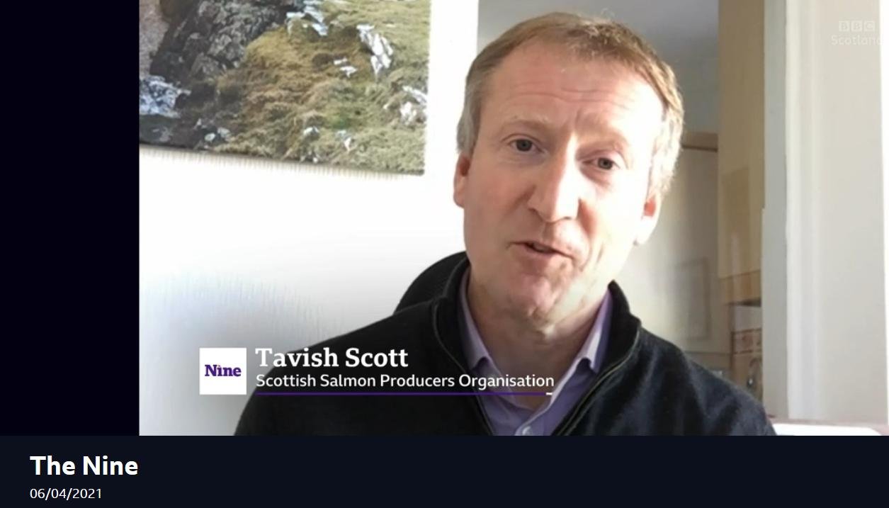 BBC Scotland The Nine 6 April 2021 #4 Tavish SSPO name BBC Scotland The Nine 6 April 2021 #4 Tavish SSPO name