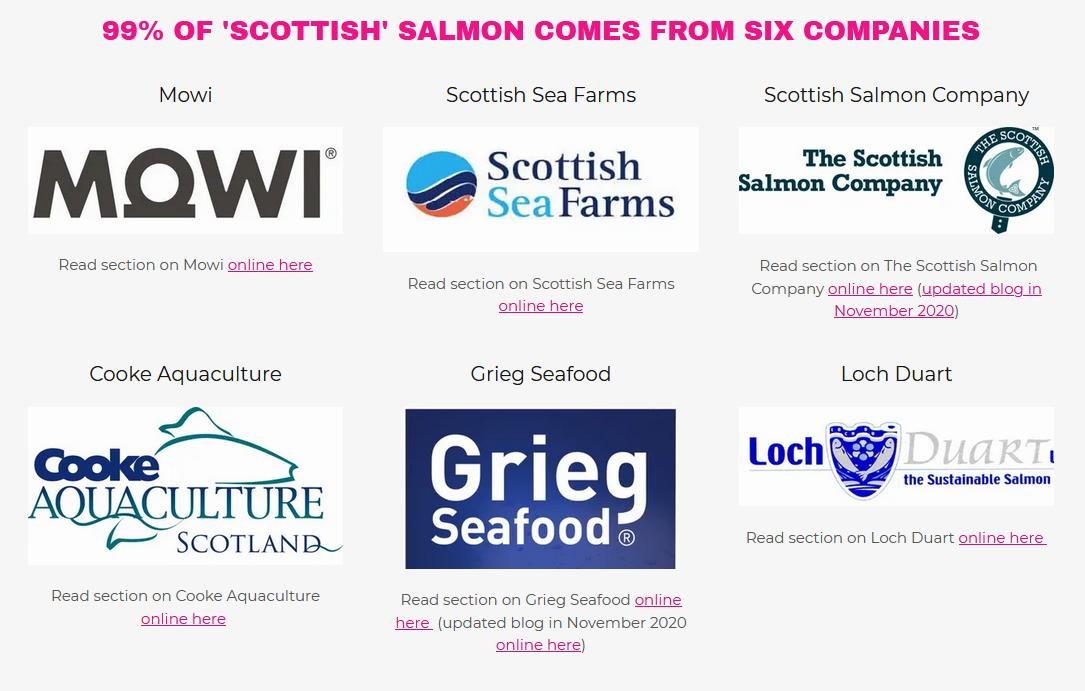 Extreme Activisit blog April 2021 #39 Extreme Activisit blog April 2021 #39