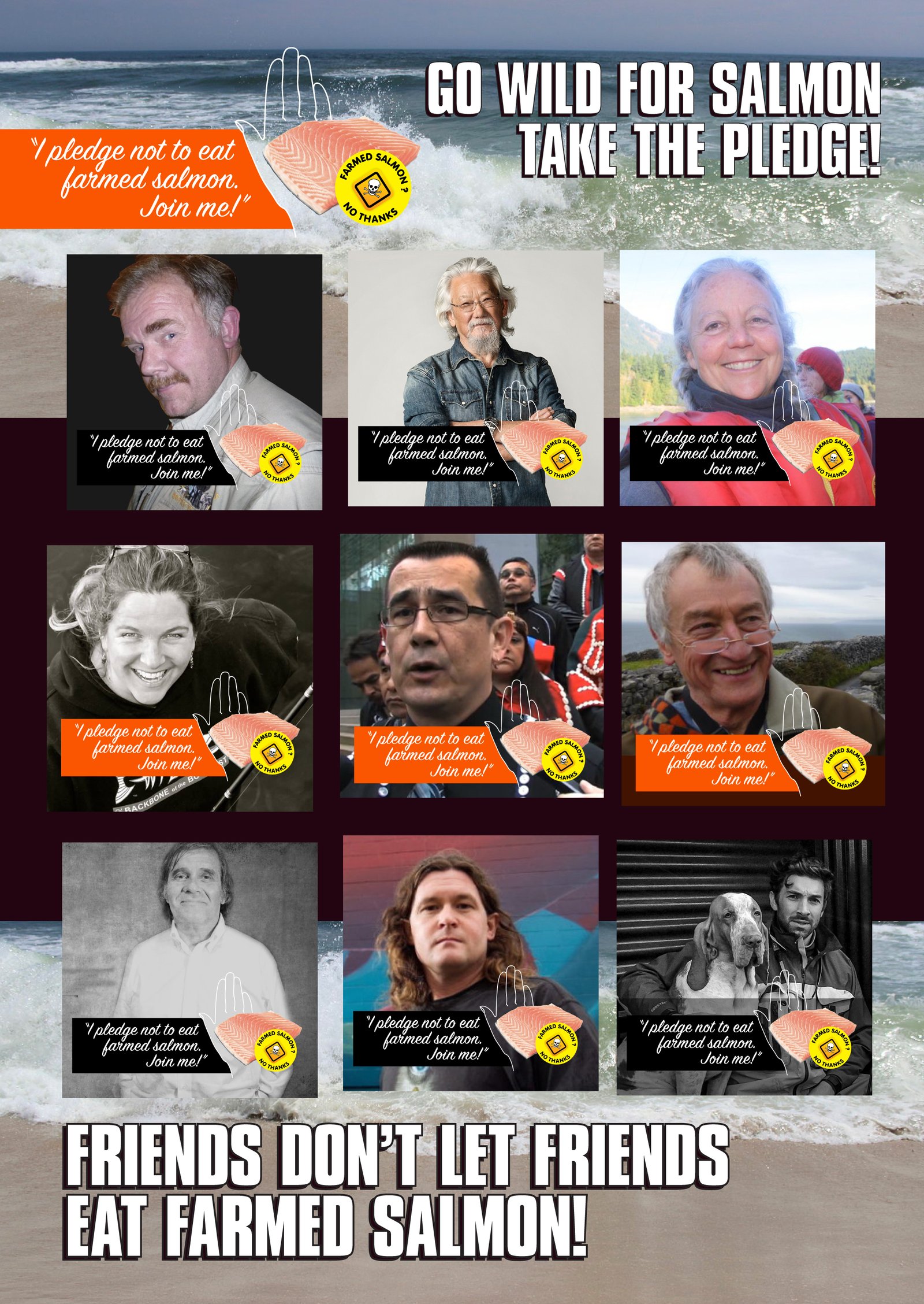 Collage of Take the Pledge #1 Collage of Take the Pledge #1