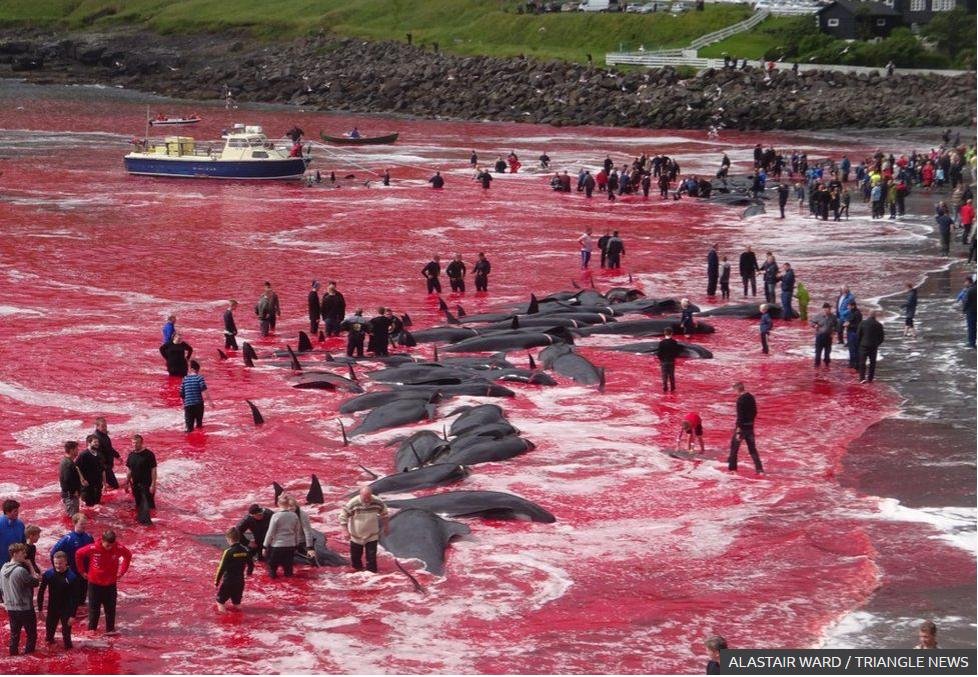 Boutique blog April 2021 #4