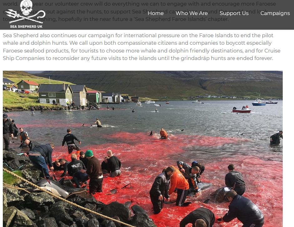 Boutique blog April 2021 #7