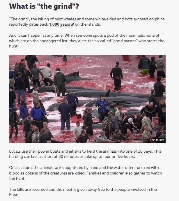 Boutique blog April 2021 #10