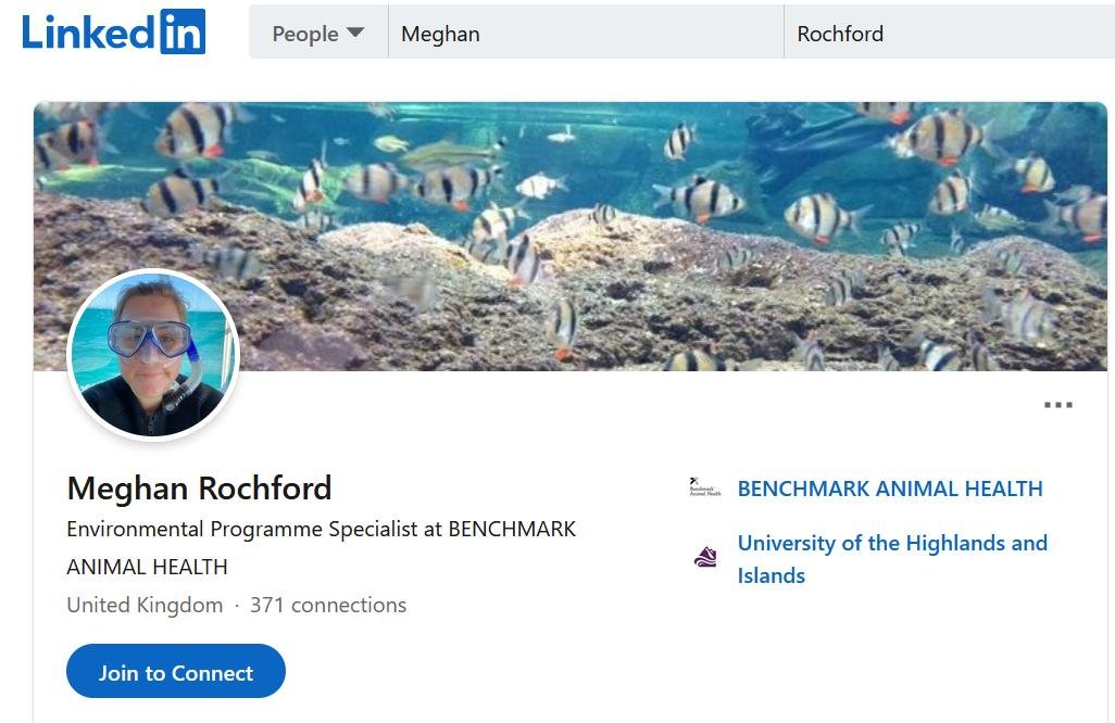 Meghan Rochford LinkedIn Meghan Rochford LinkedIn