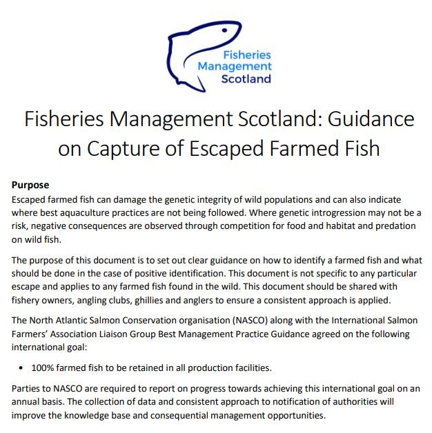 Euan McGrandle blog April 2021 #4 Euan McGrandle blog April 2021 #4