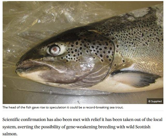 Euan McGrandle blog April 2021 #35 Euan McGrandle blog April 2021 #35