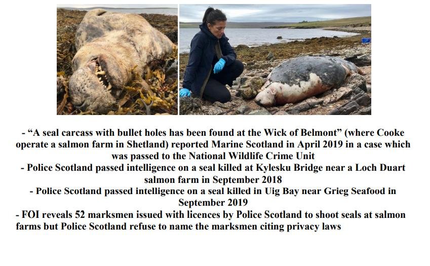 PR £10 000 Reward Illegal Killing of Seals by Scottish Salmon 26 April 2021 #2 PR £10 000 Reward Illegal Killing of Seals by Scottish Salmon 26 April 2021 #2
